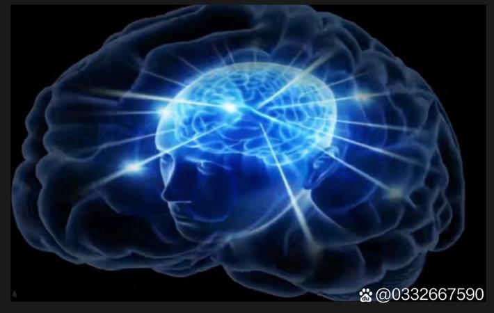 某综艺节目后期剪辑师匿名爆料：节目效果全靠剧本